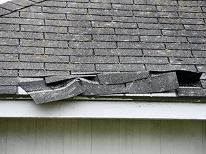 Storm Damage Chattanooga TN
