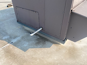 Roof Inspection Knoxville TN1