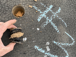 Roof Inspection Knoxville TN