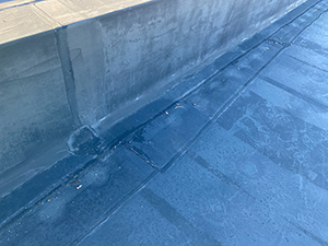 EPDM Roofing1