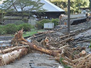 Storm Damage