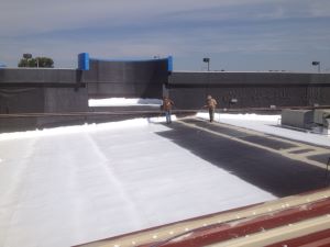 Roof Coating2