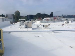 Roof Coating2