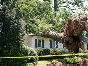 Storm Damaged Roof1