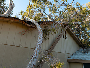 Storm Damaged Roof1