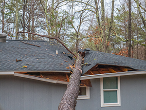 Storm Damaged Roof