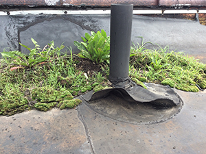 Commercial Roof Maintenance – Forest Hills, TN2