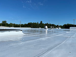 Roof Coatings1