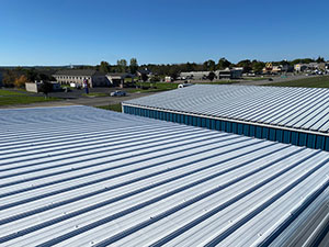 Roof Coatings2