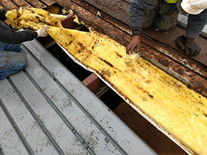 Storm Damage Repair - South Nashville, TN 2
