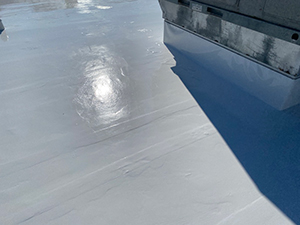 Commercial Roof Coatings - Brentwood, TN 2