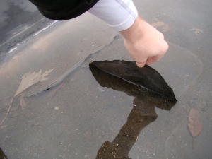 Rubber Roof Repair Hoover, AL 2