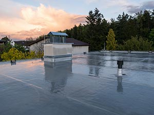 Flat-Roof-Sealing-Nashville-TN-Tennessee-1 | Glick Roofing Systems Flat roof with a reflective silver coating, a small vented utility structure, and trees against a sunset sky.