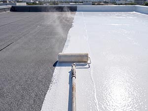 Rubber Roof Coating Nashville, TN 2
